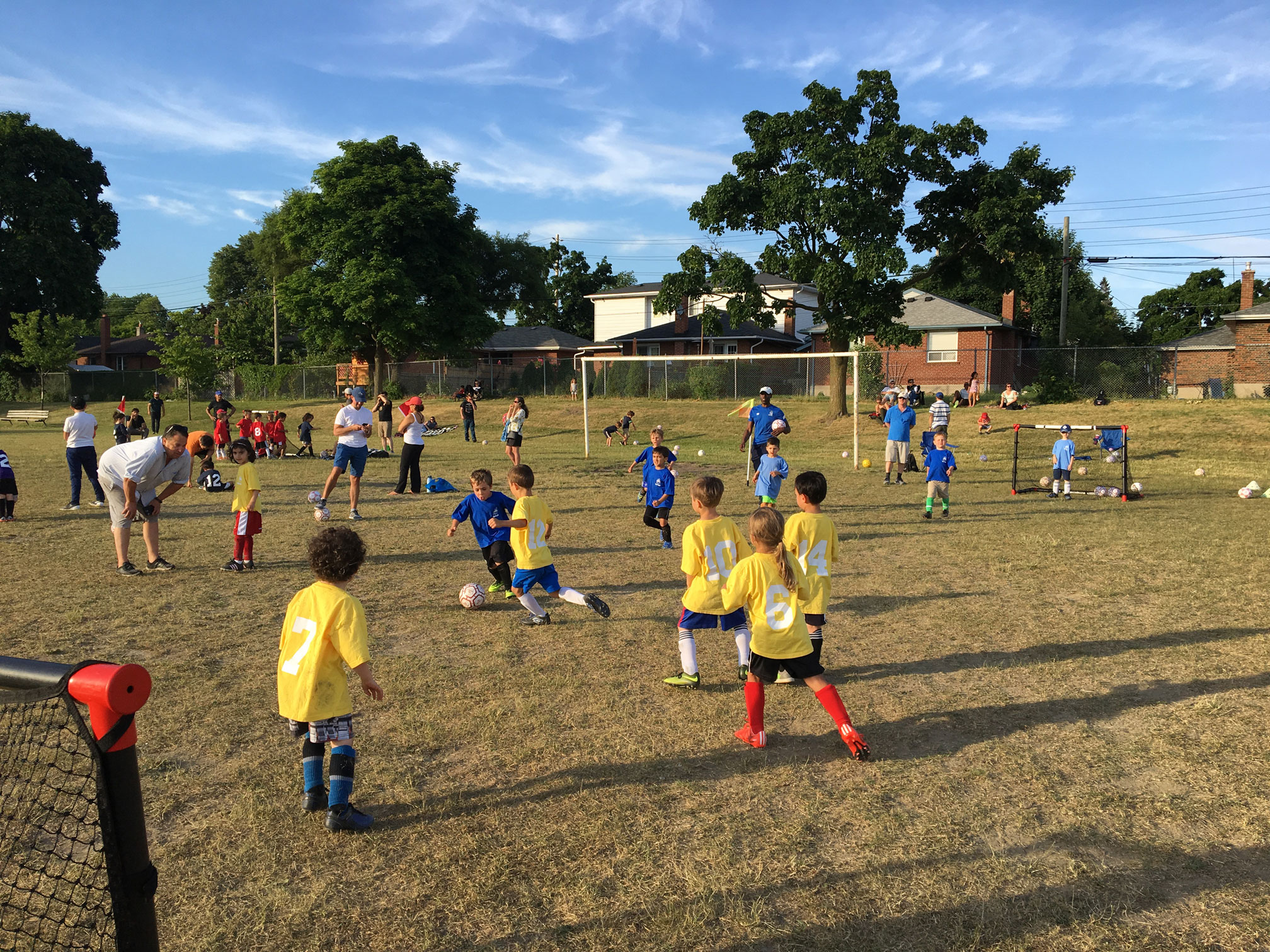 Summer Soccer » Royal York Football Club Etobicoke